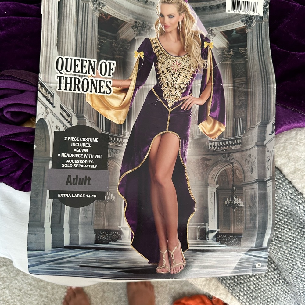 Dreamgirl Purple Costume